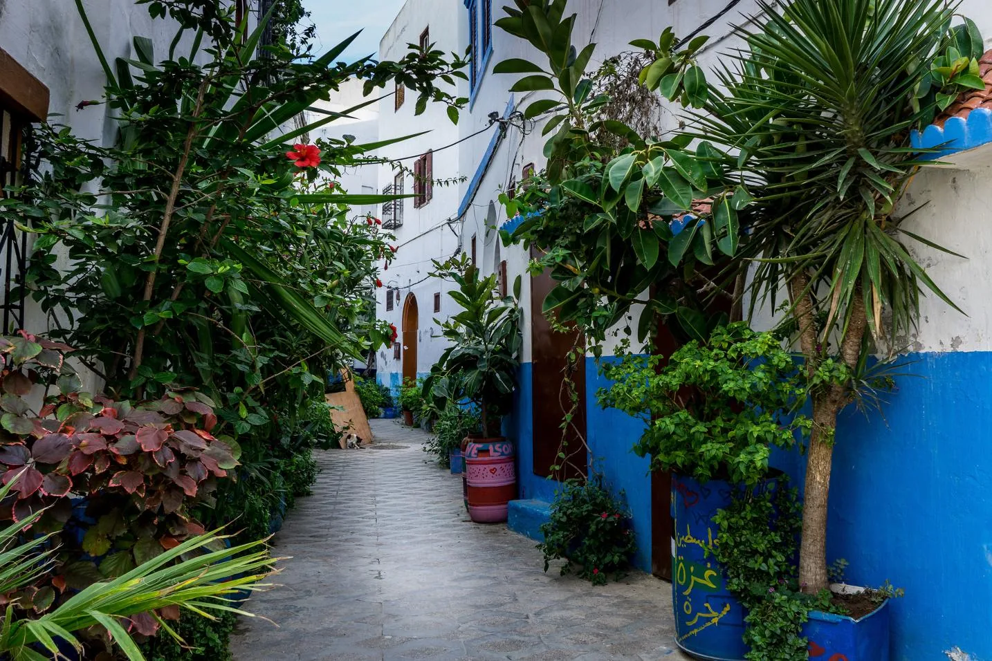 The seaside ramparts of Asilah on the Atlantic